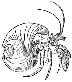 Back lower crab Tattoo spank